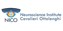 Logo NICO