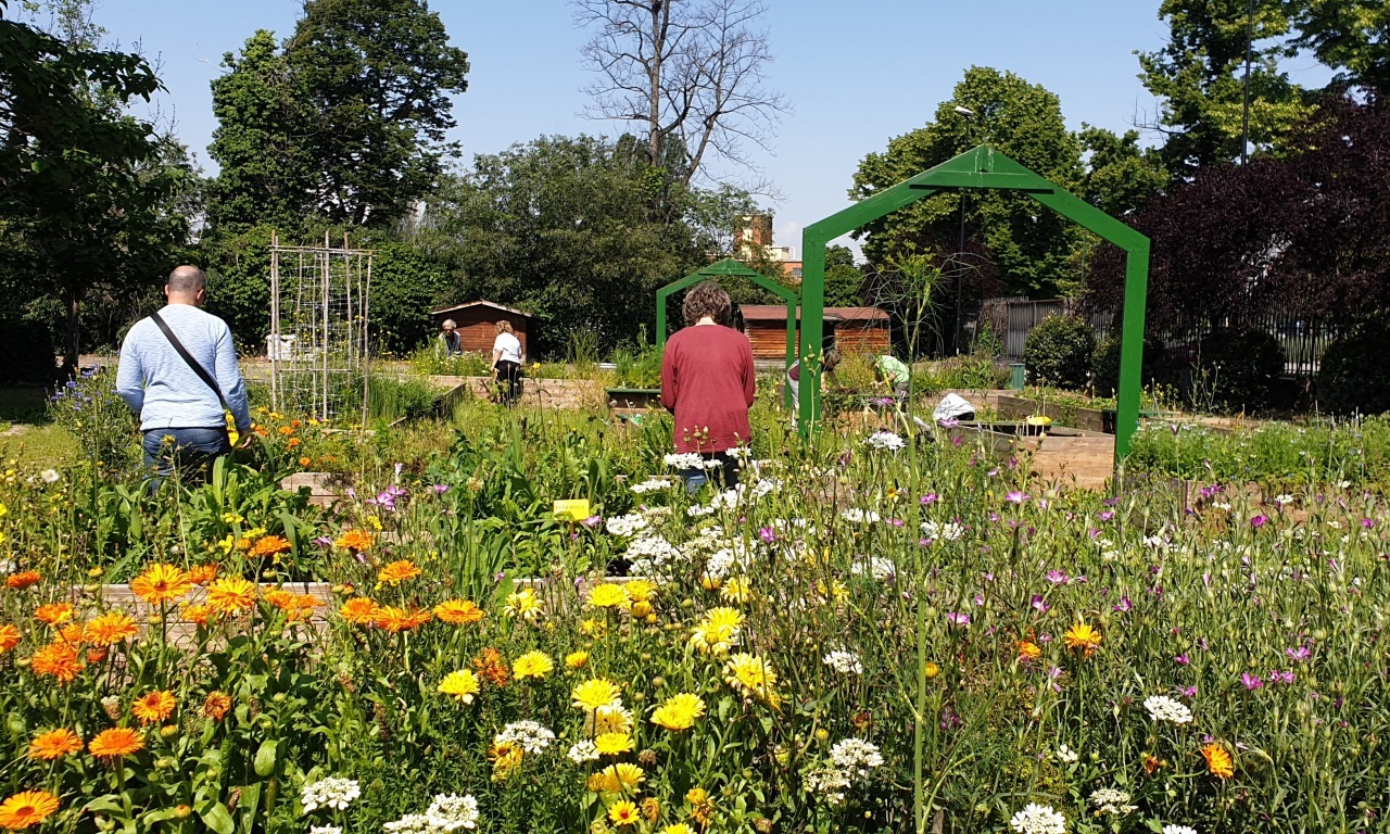 Alla scoperta di fiori, profumi e insetti in città