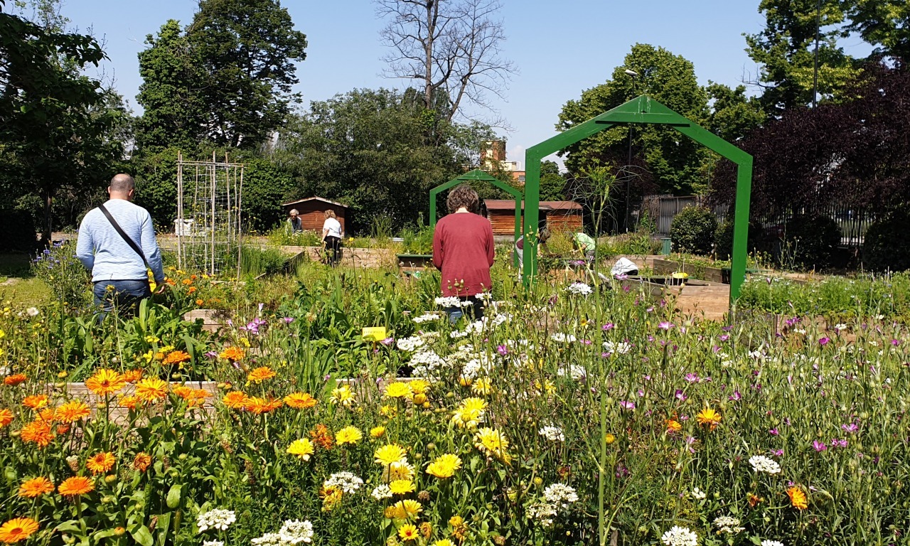 Alla scoperta di fiori, profumi e insetti in città