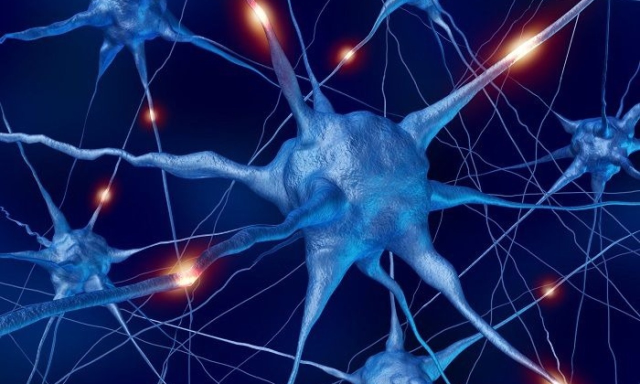 La sclerosi laterale amiotrofica: una congiura fra genetica e ambiente
