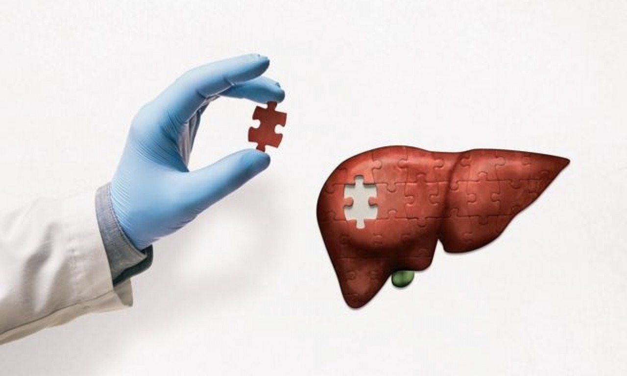 Nuovi scenari nella trapiantologia epatica