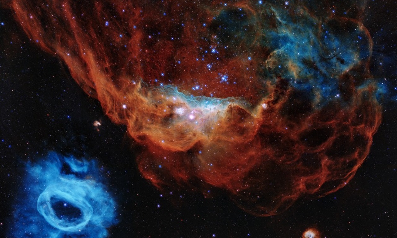 Blog Detail Image