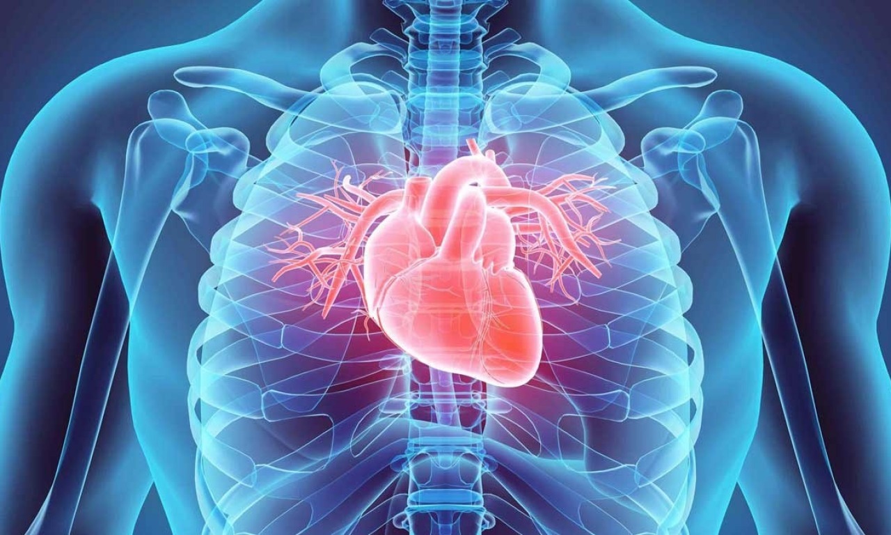 Prevenzione e prospettive terapeutiche dello scompenso cardiaco
